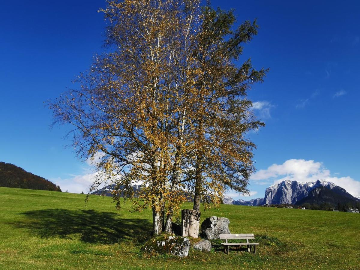 Ferienwohnung Syen Grundlsee Bagian luar foto
